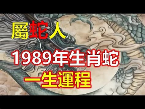 89屬什麼|1989年出生是什麼命？